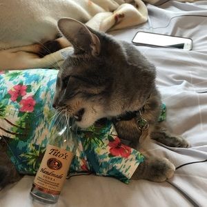 Meet your Posher, Matthew